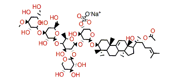 Frondoside A2-7